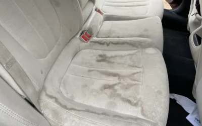 Easy Car Mold Removal Tips To Make Your Car Good as New.