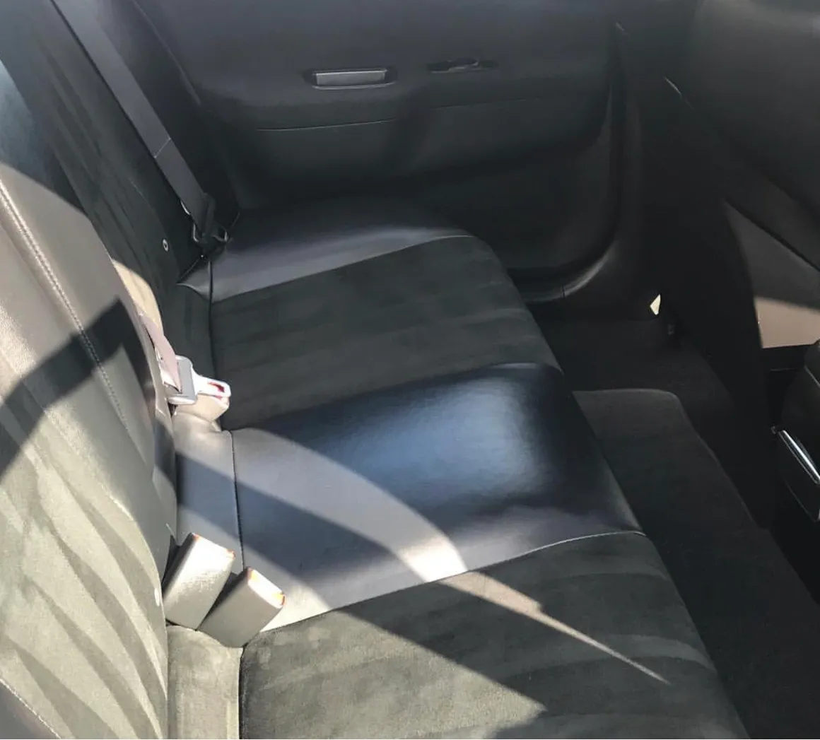 Car mold cleaning